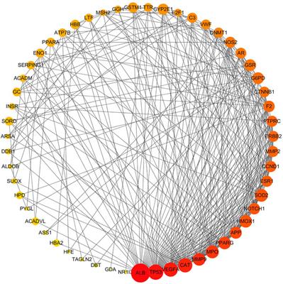 Exploring the Potential Toxicological Mechanisms of Vine Tea on the Liver Based on Network Toxicology and Transcriptomics